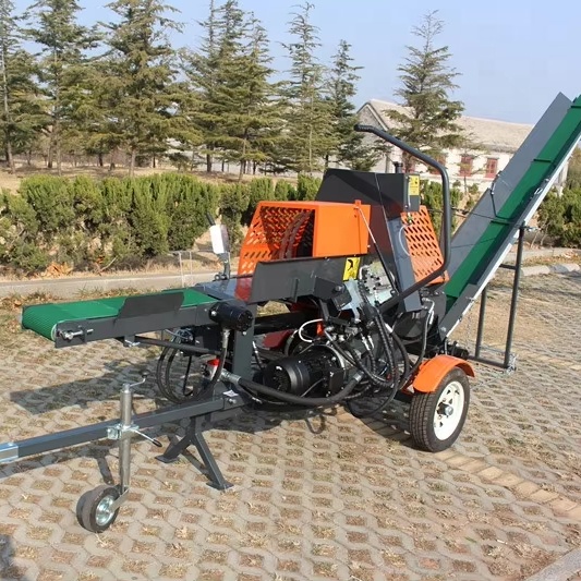 Log Splitter Electric - Rajadora de Troncos Hidráulica Horizontal de