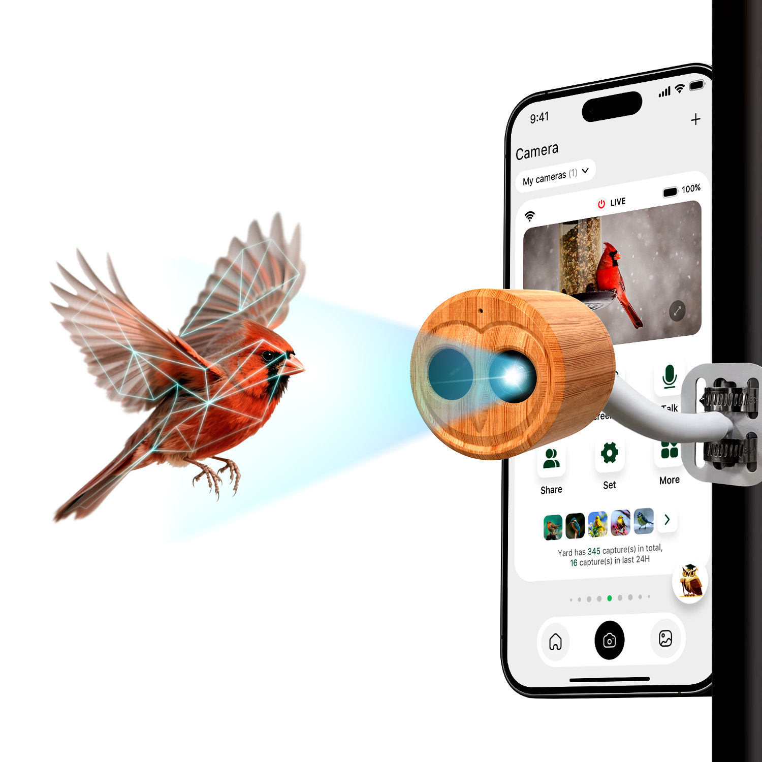 Comedero Inteligente para Pája - Power Outdoor reseña y precio