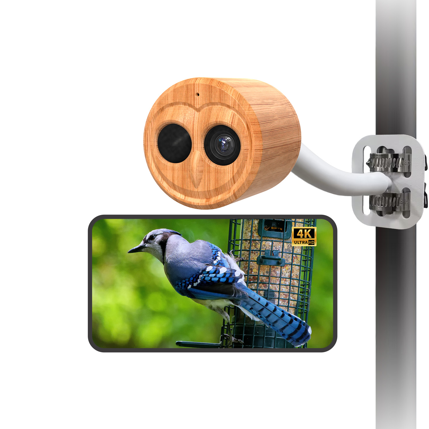 Comedero Inteligente para Pája - Power Outdoor reseña y precio